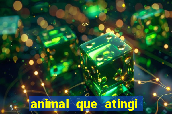 animal que atingi 230 decibeis